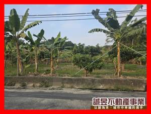 誠昱/左鎮化石館旁臨路.