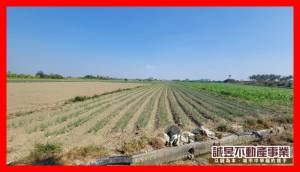 誠昱/安南佃北5.6分.