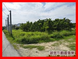 誠昱/萬皇路方正有電優質農地