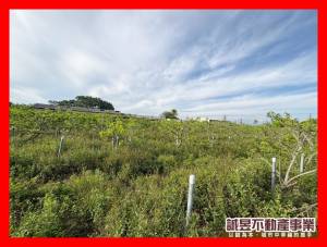 誠昱/歸仁綠能城芳鄰農地