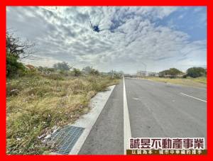 誠昱/仁德中山路249坪.